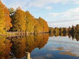 一般來說 平安就是幸福 亦說無病就是福所謂 outdoor farmland buddhism