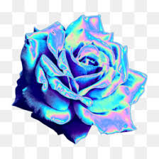 Download aesthetic flower png images for your personal use. Aesthetic Rose Png And Aesthetic Rose Transparent Clipart Free Download Cleanpng Kisspng