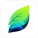 To install the plant identification: Plant Identification Made Easy The Landscape Association
