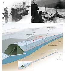 Our first clients started with us 37 years ago. Mechanisms Of Slab Avalanche Release And Impact In The Dyatlov Pass Incident In 1959 Communications Earth Environment