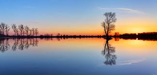 Image result for reflection