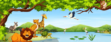 185 453 Best Zoo Background Cartoon Images Stock Photos Vectors Adobe Stock Trouvez les zoo background images et les photos d'actualités parfaites sur getty images.