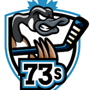 elgin thames minor hockey from elginthamesminorhockey.ca