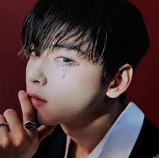 Cha eun woo (차은우) real name: Xdw C3d3vzra5m