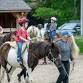 Pony Rides and Open House at Blue Rider Stables event in Great Barrington, MA