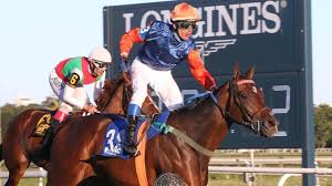 Turf: A Adrián Giannetti se le cayó su potranca encima y se fracturó la  tibia y el peroné