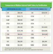Our professional auditors are integral to our company's mission by ensuring the financial integrity of premium development. Average Cisa Salary Updated 2021 Infosec Resources
