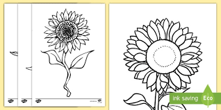 Flower coloring pages for adults. Sunflower Colouring Pages Teacher Made