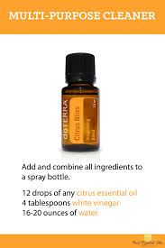 Meyer's copycat {i'll let you know when i find one!}, this solution from my favorite diy book. Pin On Doterra Diy