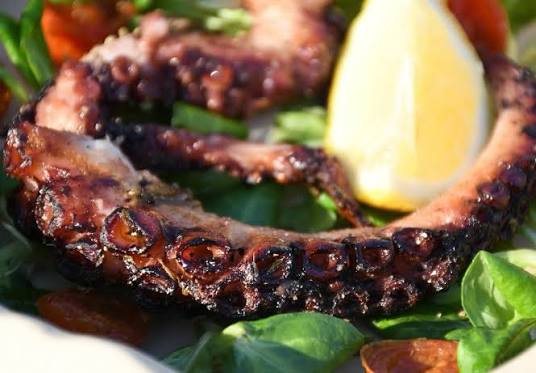 Grilled Octopus