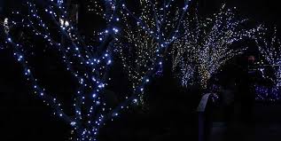 Get free shipping on qualified solar christmas lights or buy online pick up in store today in the holiday decorations department. Solar Christmas Lights Best Solar Powered Christmas Lights Understand Solar