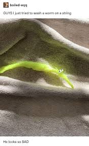 Pin By Rebecca On I Found That Funny Stupid Memes Funny Memes Funny Me