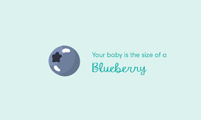 You may be offered a dating scan between eight and 10 weeks. 7 Weeks Pregnant Symptoms And Baby Development Pampers