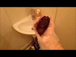 me throwing a poop in the sink youtube