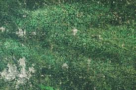 Este programa promueve la inclusión de las nuevas tecnologías en la enseñanza. Derecho Flattens Iowa Corn