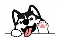 Click here to update the token ico / general information. Husky Husky Kurs Marktkapitalisierung Chart Und Informationen Coingecko