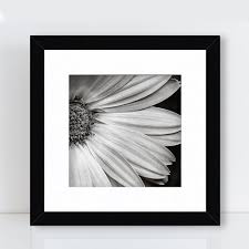 Black And White Flower Framed Wall Art Black And White Flower Print Fine Art Photography Pink Yellow Gerbera Daisy Wall Art Framed Photo Prints F Daisy Wall Art Fine Art Photo Prints Flower Wall Art