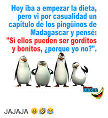Hoy Iba A Empezar La Dieta Pero Vi Por Casualidad Un Capitulo De Los Pinguinos De Madagascar Y Pense Si Ellos Pueden Ser Gorditos Y Bonitos Porque Yo No Iarto Jajaja