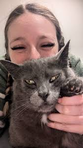 Warning: Agitated Fox Spotted in Huntington Area Near Boys and Girls Club