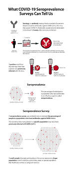 Most people have mild illness you should receive the results of your test as early as 24 hours after sample collection, but sometime it can take a few days depending on long it takes the. What Covid 19 Seroprevalence Surveys Can Tell Us Cdc
