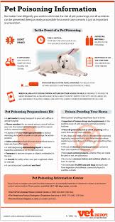 1st pet veterinary centers 1st pet veterinary centers is the one to call, 24/7, for all of your pet healthcare needs. Pet Poisoning Information Pet Emergency Pet Care Tips Pet Safety