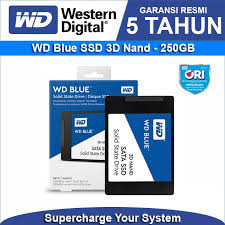 What kind of drive you need depends on what device. Ssd Wd Blue 250gb Ssd 250gb 3d Nand Sata3 Shopee Indonesia