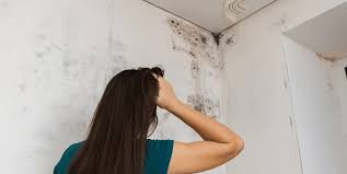 Explore ozone generators for cars. Best Ozone Generator For Mold Removal 2021 Reviews Cleancrispair