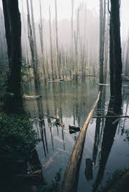 Wanderluster Nature Nature Photography Beautiful Landscapes