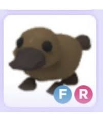 Utilize the code to get 200 free bucks. Adopt Me Fly Ride Platypus Jungle Pet Adopt Me Pets Pet Adoption Party Roblox Adopt Me Pets