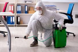 Office Pest Control
