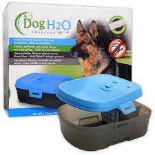 But dog water fountains vary just as much as dogs do. Dog H2o Cordless Water Fountain Bowl Filter Dental Care Tablet Healthy Dogs 6l Ebay
