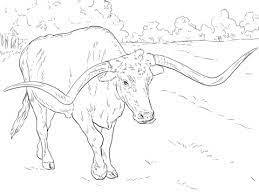 Make a coloring book with longhorn cattle texas longhorns for one click. Realistisches Texas Longhorn Ausmalbilder Kostenlos Zum Ausdrucken