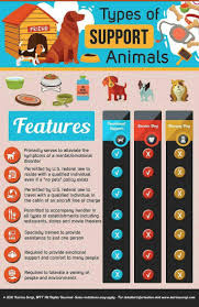 Pin By South Jersey Regional Animal S On Animals Welcome Emotional Support Dog Therapy Dogs Support Animal