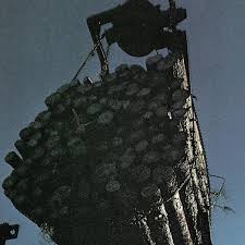 The Petrified Forest