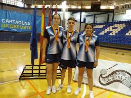 Profil untuk Club Bádminton Rachaplumas