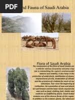 Image result for Asystasia hedbergii