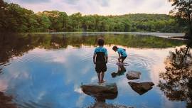 Aquatic Macro-Invertebrate Ponding