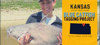 Fish and wildlife service, the kansas department of wildlife, parks and tourism, and the city of wichita parks and recreation department. Kdwp Home Kdwp Kdwpt