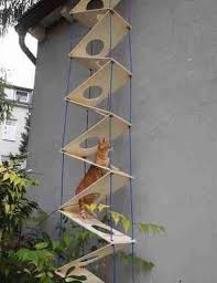 15 Beautifully Designed Cat Ladders Stairs Around The World Evcil Hayvan Bakimi Evcil Hayvan Urunleri Ve Kedi Evi