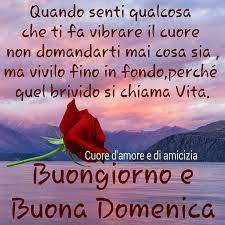 Domenica Immagine 3048 Quando Senti Qualcosa Che Ti Fa Vibrare Il Cuore Non Domandarti Mai Cosa Sia Ma Vivilo Fino In Fo Buona Domenica Buongiorno Domenica