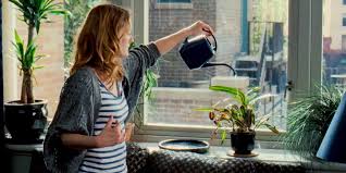 Even a day or two without enough water can leave your garden beds drooping or make your potted houseplants start to wither. Plants That Are Easy To Keep Alive