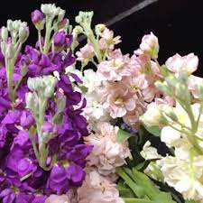 Roses, tulips, daisies, orchids, irises, gift baskets, plans Flowers By Roger Inc Home Facebook