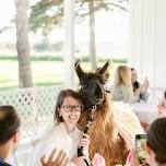 The Llama Lounge: A petting zoo & coffee for adults