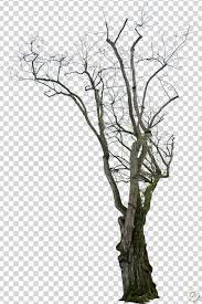 Artstation Png Photo Pack Dead Trees Resources Png Photo Tree Artwork Artwork