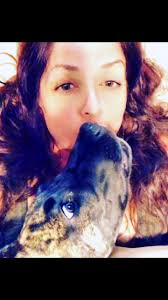 How to Pet A Great Dane