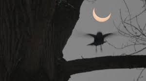 Wann wird die sonnenfinsternis deutschland erreichen? Sonnenfinsternis Mondfinsternis Wie Oft