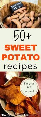 50 Sweet Potato Recipes For Your Fall Harvest Sweet Potato Recipes Recipes Nutrition Recipes