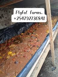 Flyful Farms. David Atis 0792 736841