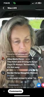 Criticism of horse rescue worker's motives