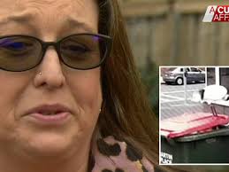 Melbourne woman says up to 100 ibis 'bin chickens' poo